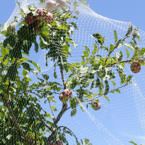 Venet Fruit Tree Netting