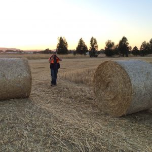 Fodder - Totalcover Netwrap